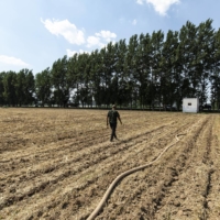 A farmer watering a recently harvested wheat field in Luohe, China, on June 15.  | QILAI SHEN / THE NEW YORK TIMES