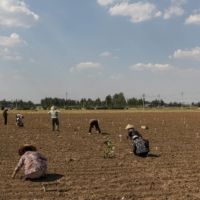 A trade war with the United States that began in 2018 has made it more expensive for China to buy soybeans and other foods from America. | QILAI SHEN / THE NEW YORK TIMES