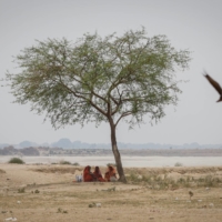 Women rest under a tree on a hot summer day in the northern state of Uttar Pradesh, India, on Wednesday. | REUTERS