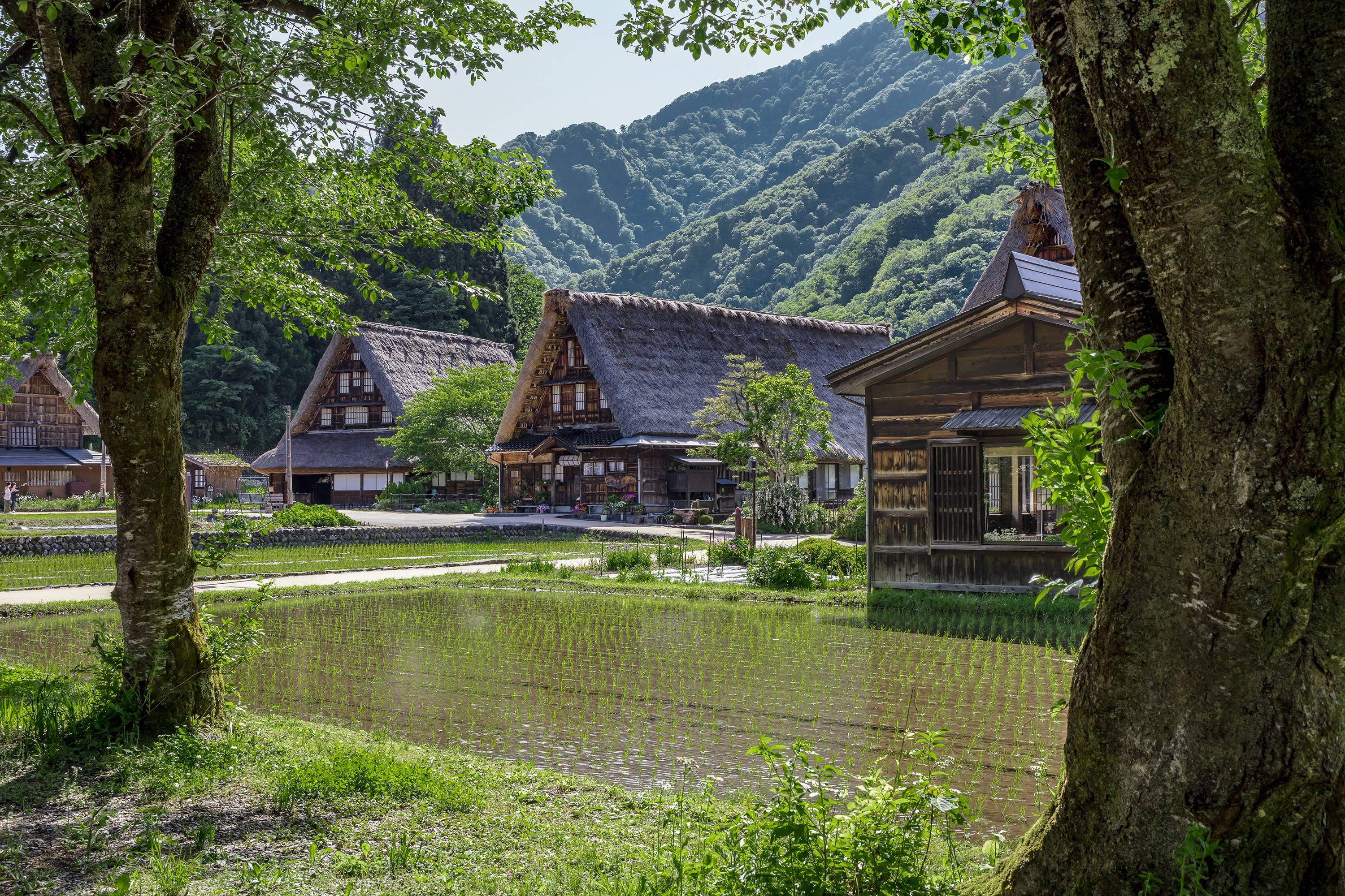 Japan Times