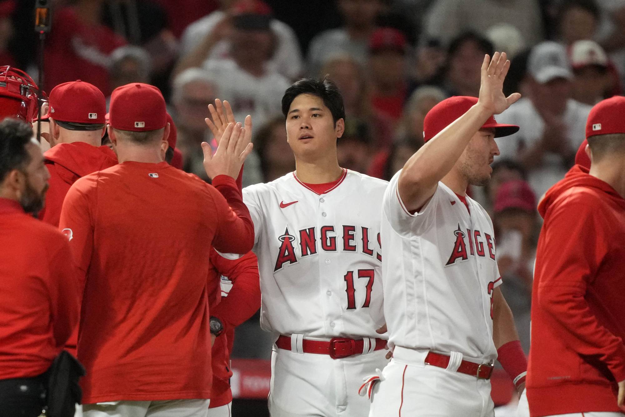 ohtani angels baseball