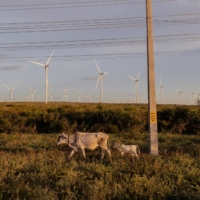 Brazil is blessed with wide-open spaces in the windiest parts of the country and an interconnected national power grid. | BLOOMBERG