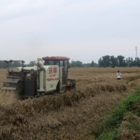 A combine is used to harvest wheat in Zhumadian, Henan province, China on June 5. | REUTERS