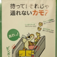 A poster in Tokyo’s Nagatacho Station makes a pun using 
“カモ” (kamo), the shortened form of “kamo shirenai.” Without taking the pun into account, the message at the top reads, “Wait! Maybe you can’t pass with that?”