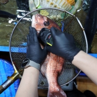 An official measures the radiation levels of a fish imported from Japan as they conduct a radioactivity check, which have been conducted regularly since the 2011 Fukushima disaster, at Noryangjin fisheries wholesale market in Seoul on July 6. | REUTERS