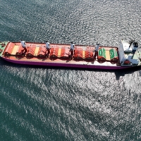 A bulk carrier carrying grain under the U.N.\'s Black Sea Grain Initiative waits in the southern anchorage of the Bosphorus in Istanbul on Saturday. | REUTERS