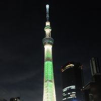Yokozuna: TokyoSkytree, which was picked as one of the most successful \"hit products\" of 2012. | SATOKO KAWASAKI