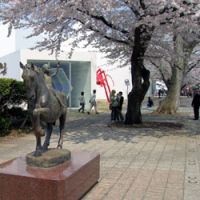 Towada Art Center, opening last week in Towada, Aomori Prefecture | ERIKO ARITA PHOTO