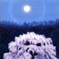 \"Bright Cherry Blossoms\" (1968) | THE NATIONAL MUSEUM OF MODERN ART, TOKYO
