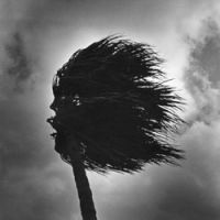 Darker skies: Yasuo Higa\'s \"Kuba no Ki\" from \"Rituals of Kudake Island\" (1975-77) | NIHON UNIVERSITY