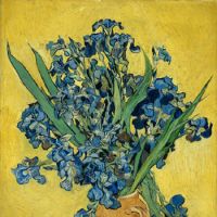 \"Irises\" (1890) by Vincent Van Gogh | &#169; VAN GOGH MUSEUM, AMSTERDAM (VINCENT VAN GOGH FOUNDATION)