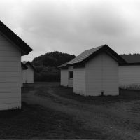 \"Prayer &amp; bark\" (2011) by Murakoshi Toshiya | HARA MUSEUM OF CONTEMPORARY ART