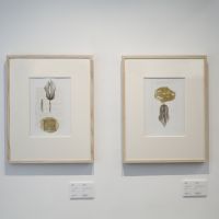 Inspired by others: Untitled 2007 works by Khadim Ali | KEIZO KOKU