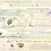 Christine Odlund\'s \"Stress Call of the Stinging Nettle\" (2010) | COURTESY GALLERI RIIS, OSLO/STOCKHOLM, PHOTO BY JEAN-BAPTISTE BERANGER