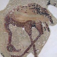 A greater flamingo, depicted in mosaic | MARK BRAZIL PHOTOS