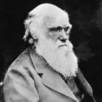 Dethroner of God: British naturalist Charles Darwin shortly before his death on April 19, 1882 | AP PHOTO