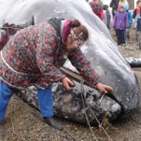 Lorino villagers in Chukotka, northeastern Russia, honor the soul of the dead whale with offerings of plants, bread, chocolates and a cigarette | PIA FILM FESTIVAL