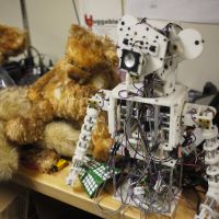 Cutting edge: Huggable laid bare in a Personal Robotics Group laboratory at the Massachusetts Institute of Technology. Up close and personal with MIT robots