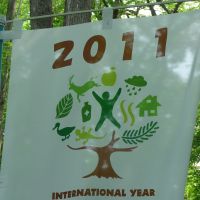 Fine sign: This design of this banner at the entrance to my local woods clearly shows how people are central in the sustainable management, conservation and development of our forests &#8212; both in this U.N.-designated year and all others. | MARK BRAZIL PHOTOS