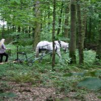 Back to nature: Doug\'s trainee, Kathy, with Ella in the St. Fagan\'s Park woods. | C.W. NICOL PHOTO