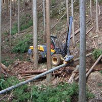 Woods sense: A mechanized harvester (above) and a forwarder (below) in a forest in Kyoto Prefecture managed by the Hiyoshi Forest Owners Cooperative. | ATSUSHI ISHII PHOTOS