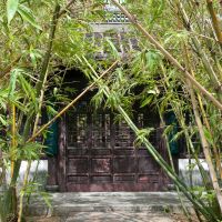 Hidden delight: A tunnel of bamboo that leads to the finely carved doors of a teahouse creates a private, intimate ambience even before the first drop is sipped. | STEPHEN MANSFIELD PHOTOS