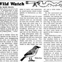 Starting point: The first Wild Watch as it appeared in the JT on April 2, 1982, with an awful wiggly-worm logo that sadly survived for five years. My drawing of a White-Eye was basic, though I am still proud of July 23rd\'s Black Paradise Flycatchers. | MARK BRAZIL PHOTOS