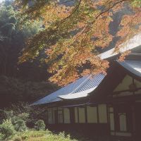 Seasonal splendors: Zuisen-ji Temple in autumn is a photographer\'s dream. | MARK BRAZIL