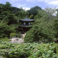 Wet and wild: Located near the picturesque pond, with its water lilies and lotus flowers, Kaju-ji\'s rare two-story pagoda provides a viewing spot for the garden. | STEPHEN MANSFIELD PHOTOS