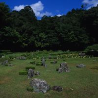 Nature nurtured: The 15th-century Zen garden at Joei-ji Temple (above) has a near-occult vitality, with its the rock arrangements (below) often seeming almost animate. Bottom: It is, too, a place rich in grasses, flowers and leafy backdrops. | STEPHEN MANSFIELD