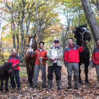 All together: A line-up of horse power (far left), comprising (from left) the Shetland pony Liz and the Percherons  Daichan and Samurai King &#8212; along with their owners and horse-logging helpers. | CONAN MORIMOTO PHOTOS