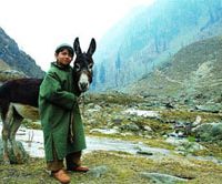 Though Santosh Sivan’s film touches on terrorism in Kashmir, the director enies any political purposes in his film “Tahaan” Muslim-Hindu relations explored in PIFF selections