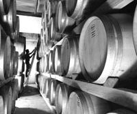 The cellars of Argentine winemaker Trivento, whose Malbec 2005 won a gold medal at the Japan Wine Challenge A drop of Malbec from down south