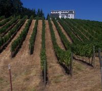 Esterling Vineyard in Oregon is the source of award-winning Pinot Noirs A sensitive grape for a superb wine