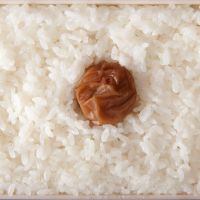 National pride:  Hinomaru bento, a rectangular bed of plain white rice with a single umeboshi in the middle, is designed to resemble the Japanese flag. Umeboshi, made from pickled ume (a relative of the plum and apricot), are a much-loved traditional delicacy. | MAKIKO ITOH