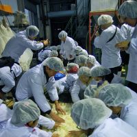 Bottled with love: A group of budding sake-makers on the Karasuyama Taiken course (below) prepare rice they grew themselves for fermentation into alcohol. | MELINDA JOE