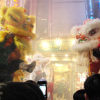 Happy New Year: Dancers perform the grand finale of the lion dance. | REIJI YOSHIDA PHOTO