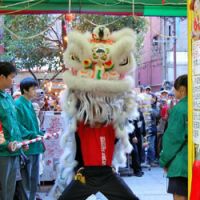 Carrying on tradition: A member of lion dance team performs the lion dance at a Yokohama Chinatown shop to bring it good luck and fortune. | NATSUKO FUKUE PHOTO