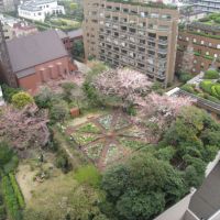 Inner-city oases: Rooftop gardens at Ark Hills, in Akasaka, Tokyo | YOSHIAKI MIURA PHOTO