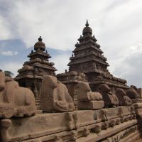 Marvels: The early 8th-century Shore Temple at Mahabalipuram, which features twin towers dedicated to Shiva and a courtyard flanked by a long wall topped with sculpted reclining bulls. | COURTESY OF PHRED KAUFMAN