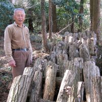 Level-headed: Ogisu, Tochigi Prefecture, organic farmer Shigeru Komori no longer raises mushrooms or uses leaf litter as fertilizer on his paddies. | WINIFRED BIRD