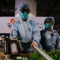 Green screen: Food inspectors check vegetables imported from Japan at the airport cargo terminal in Hong Kong in April 2011. | AP
