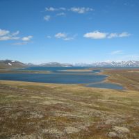 Gabriel Bay, Chukotka, Russia | AFP-JIJI / YOUTUBE