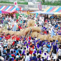 Tied up: The peak of Yonabaru\'s summer festival is a citywide tug-of-war. | GIFT OF MR. MIKIO HORIO