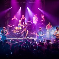 Get real: Swedish timba band Calle Real will play at Fukuoka\'s Isla de Salsa event before moving on to play Osaka, Nagoya and Tokyo. | &#169; 2011 DreamWorks Animation LLC. All Rights Reserved.