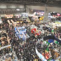Toon town: Crowds gather at The Tokyo International Anime Fair in 2010. | TAFEC