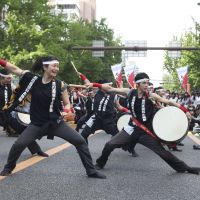 Road show: Street performers will take to Osaka\'s Midosuji Boulevard this weekend. | &#169; FUJIKO STUDIO