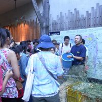 If you go down to the zoo tonight: Visitors listen to an expert on elephants at Tokyo\'s Ueno Park Zoo. | TOKYO ZOOLOGICAL PARK SOCIETY