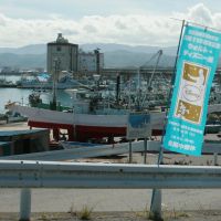Wish upon a star: An advertisement for the Walt Disney 110th Anniversary Exhibition is seen near a port in Kitaibaraki, Ibaraki Prefecture. | EDAN CORKILL