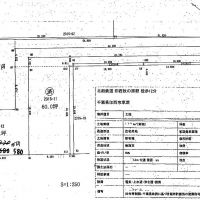 A shid&#333; (private road) connects a public road to a private plot of land. | PHILIP BRASOR